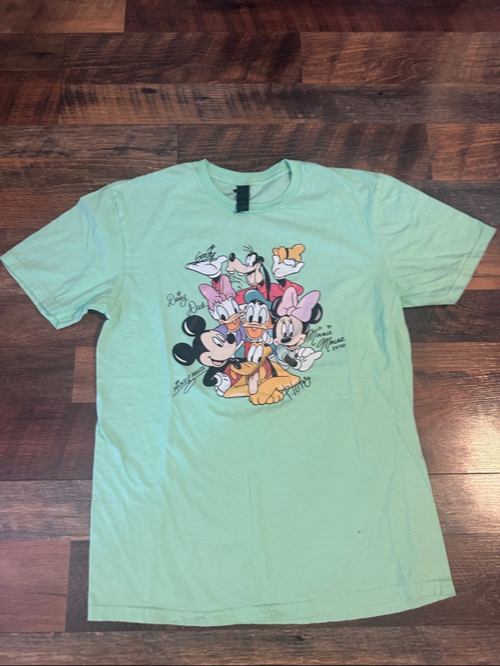 ❤️ 3/$10 Gildan Light Mint Green Disney Character Short Sleeve Tee